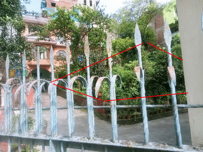 Land on Sale at Dillibazar